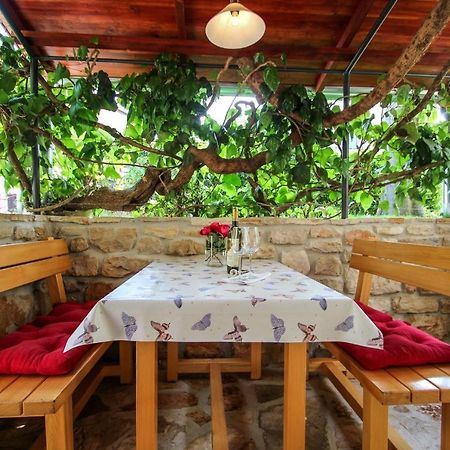 Carla Guest House Novigrad Istria エクステリア 写真