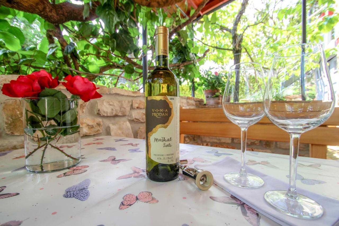 Carla Guest House Novigrad Istria エクステリア 写真