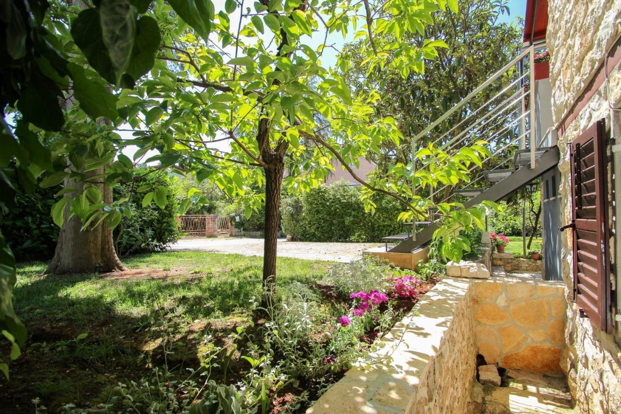 Carla Guest House Novigrad Istria エクステリア 写真