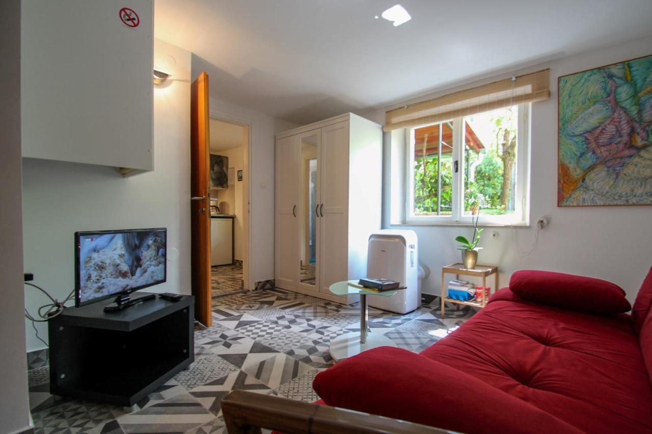Carla Guest House Novigrad Istria エクステリア 写真